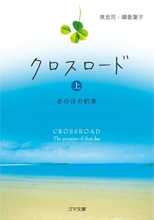 Book Cover 41